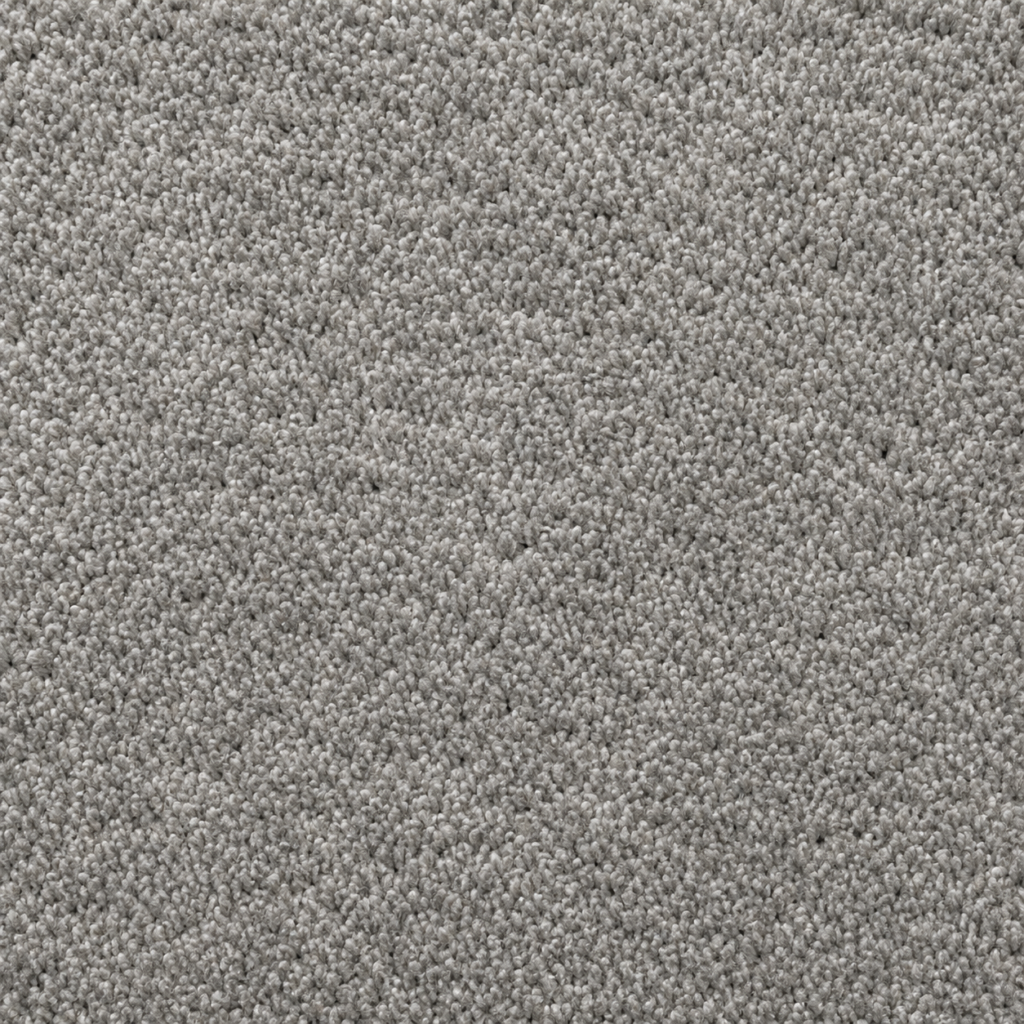 Example of carpet flooring grey